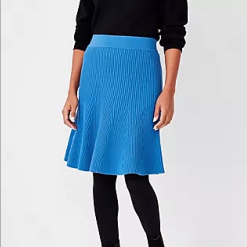 Ann Taylor sweater skirt